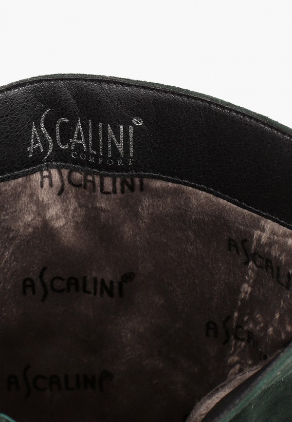 фото Сапоги ascalini