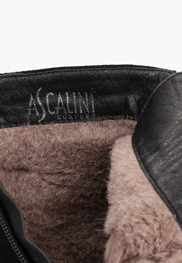 фото Ботинки ascalini