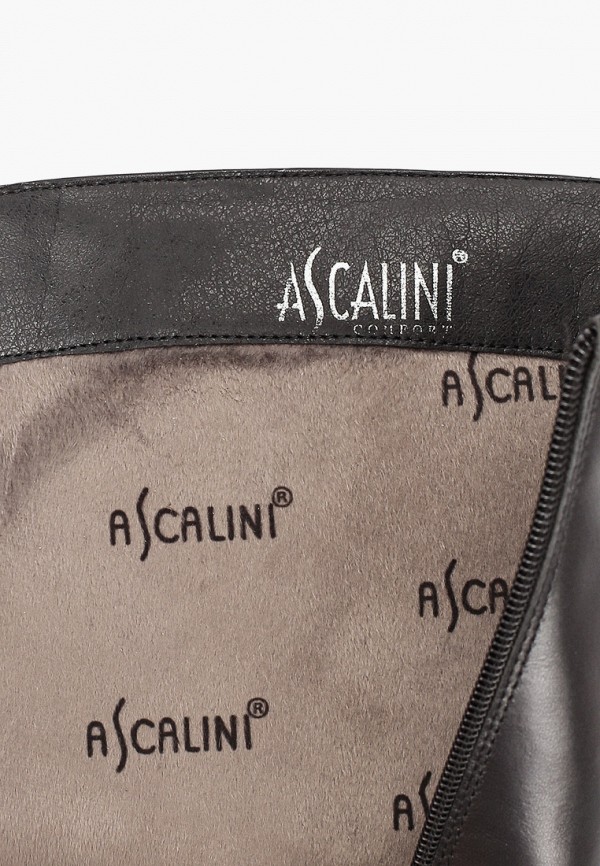 фото Сапоги ascalini