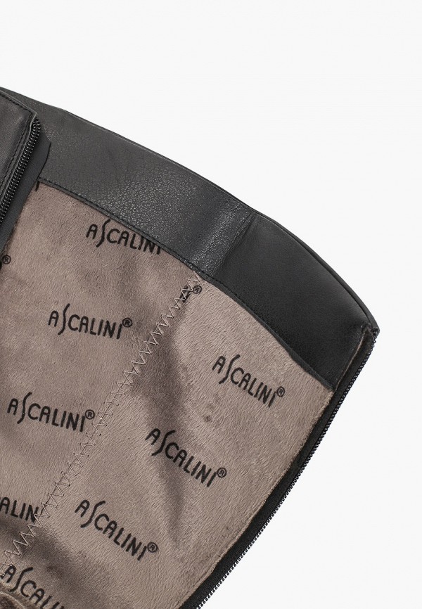 фото Сапоги ascalini