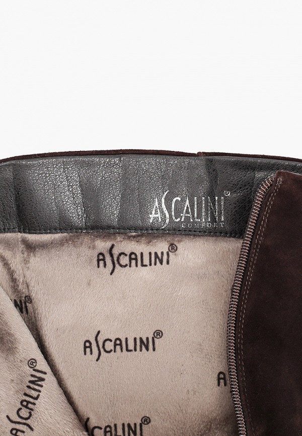 фото Сапоги ascalini