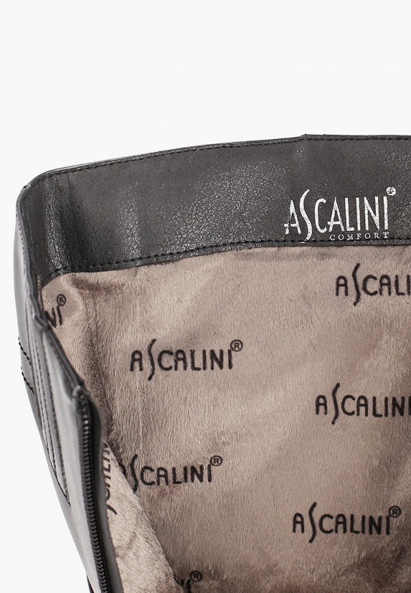 фото Сапоги ascalini