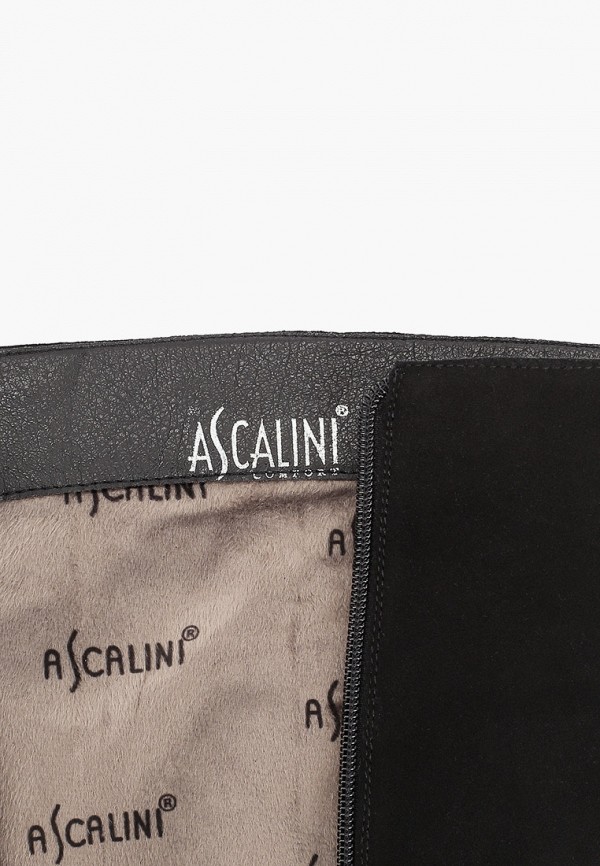 фото Сапоги ascalini