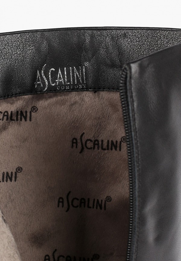 фото Сапоги ascalini