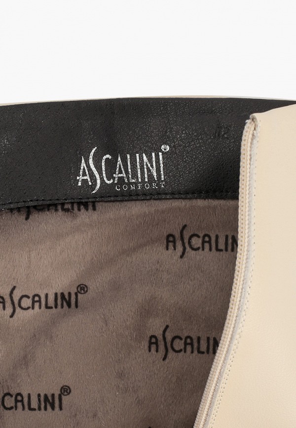 фото Сапоги ascalini