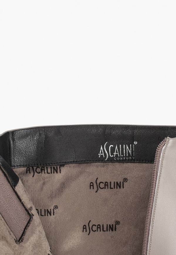фото Сапоги ascalini