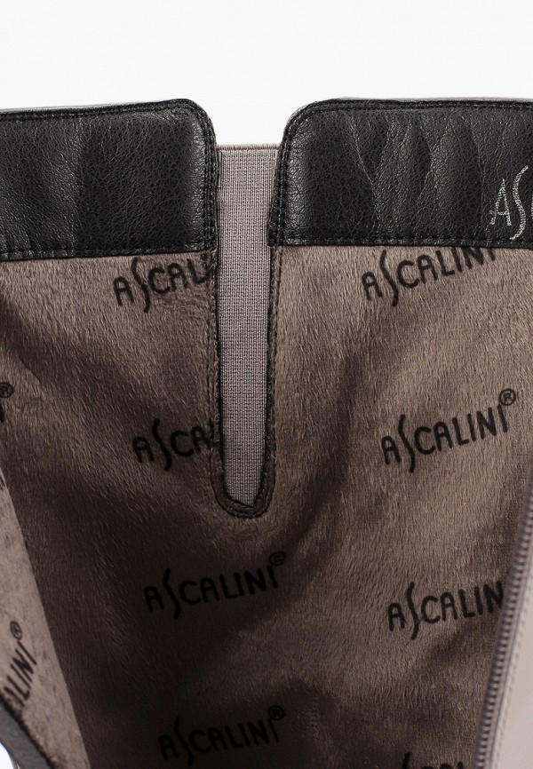 фото Сапоги ascalini