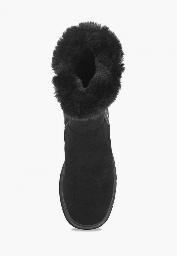 фото Полусапоги t.taccardi