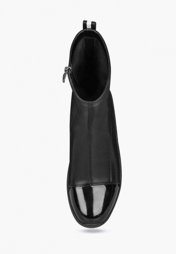 фото Полусапоги t.taccardi