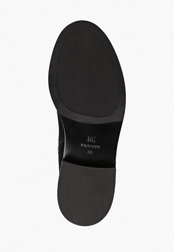 фото Сапоги basconi