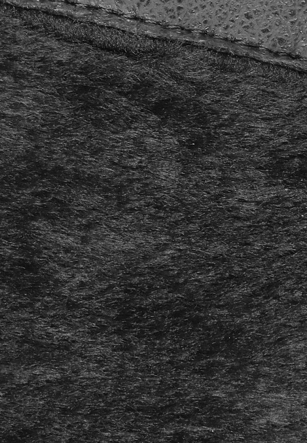 фото Сапоги t.taccardi