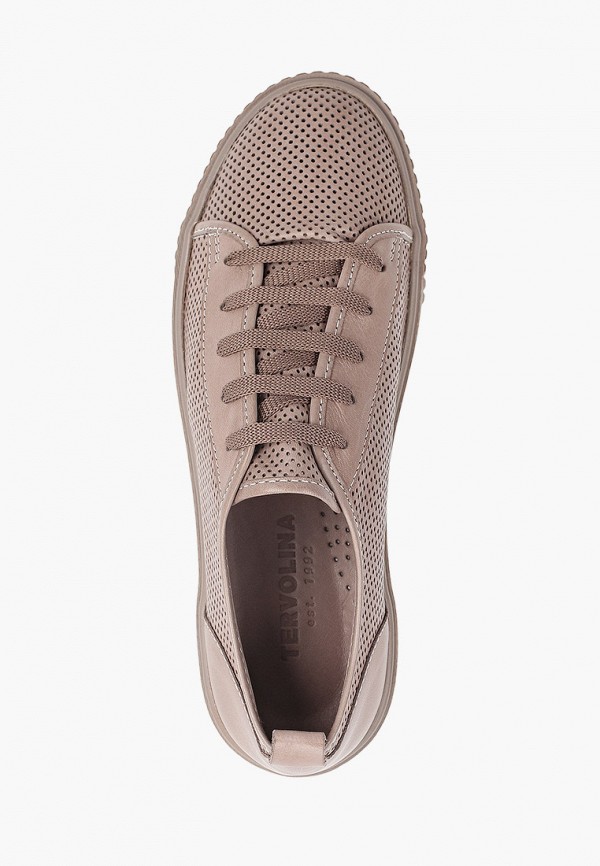 фото Кеды tervolina