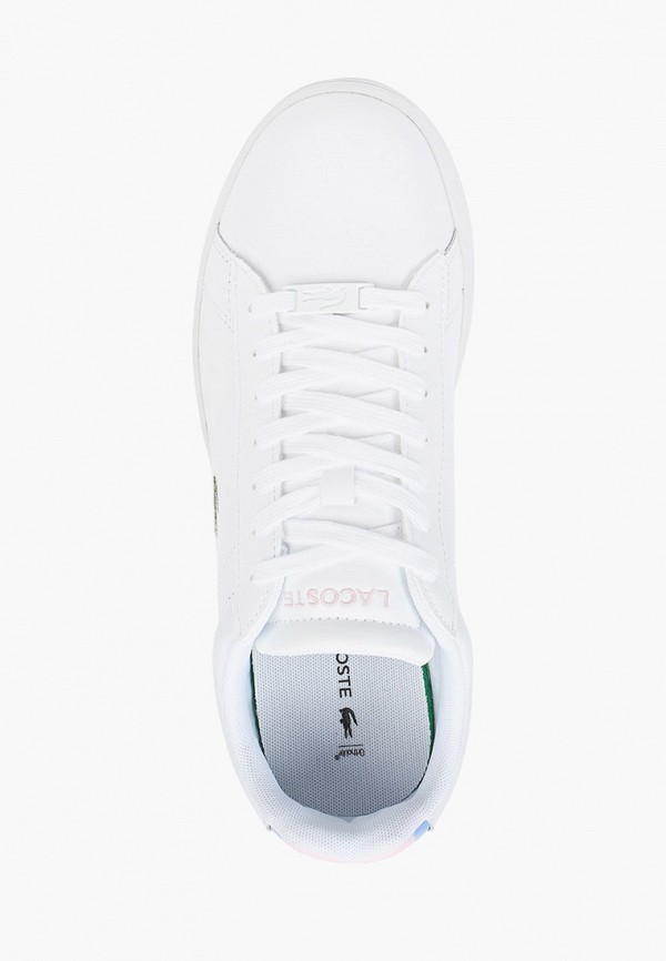 фото Кеды lacoste
