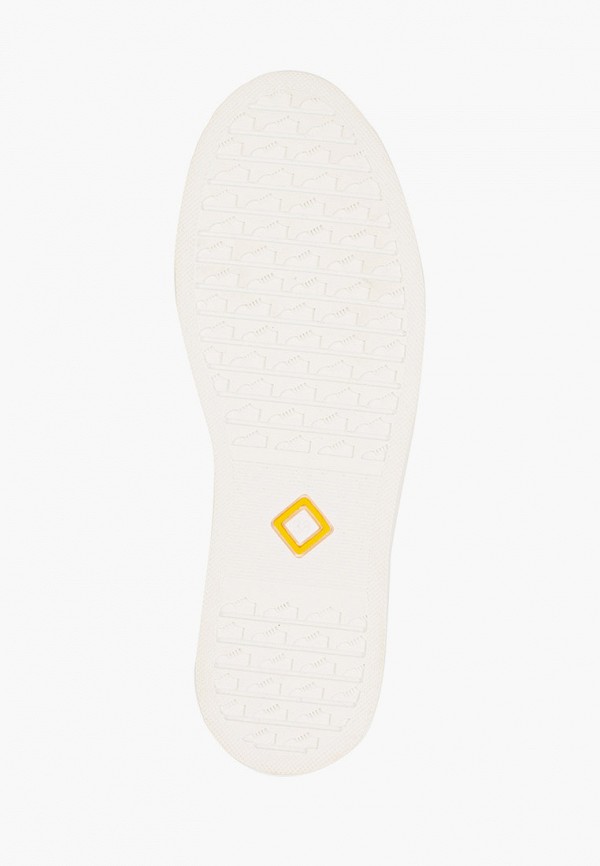 фото Кеды francesco donni