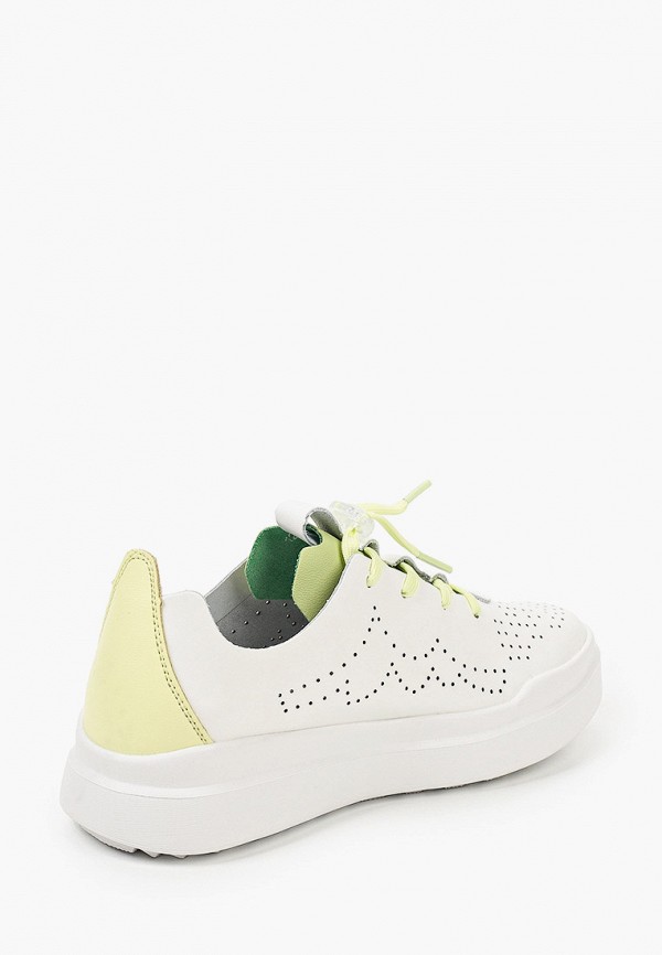 фото Кеды grunberg