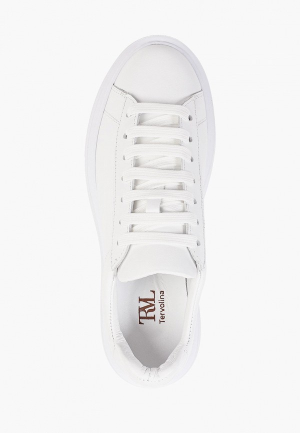 фото Кеды tervolina