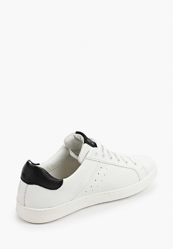 фото Кеды ralf ringer