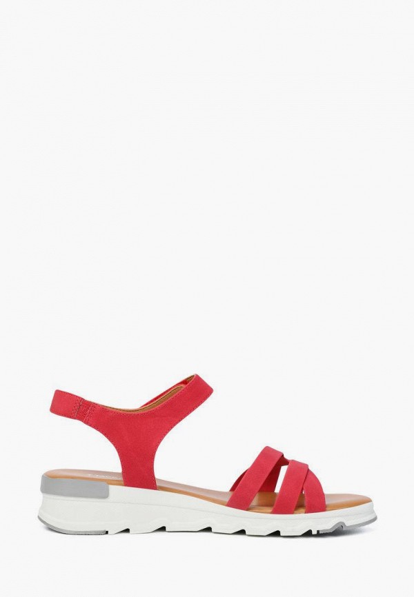 фото Сандалии t.taccardi