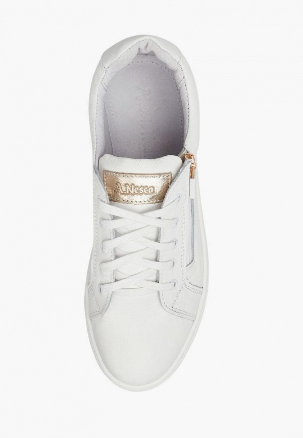 фото Кеды alessio nesca