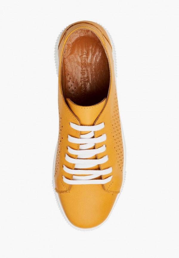 фото Кеды alessio nesca