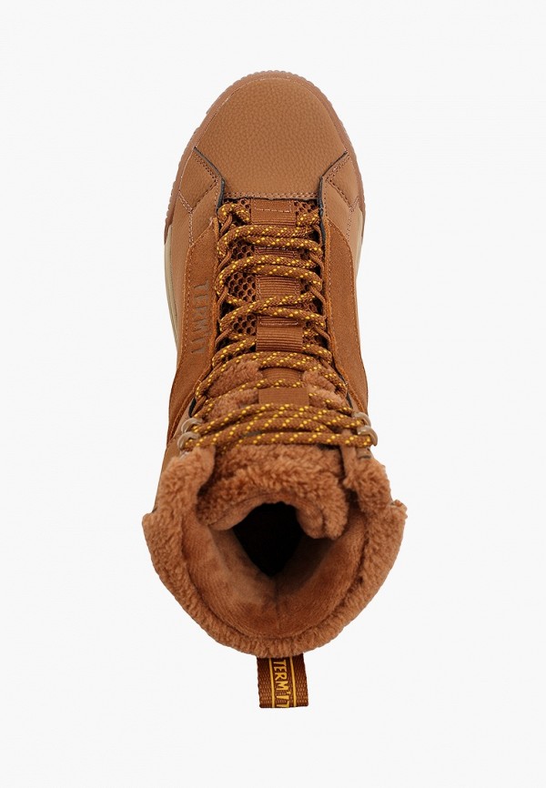 фото Кеды termit