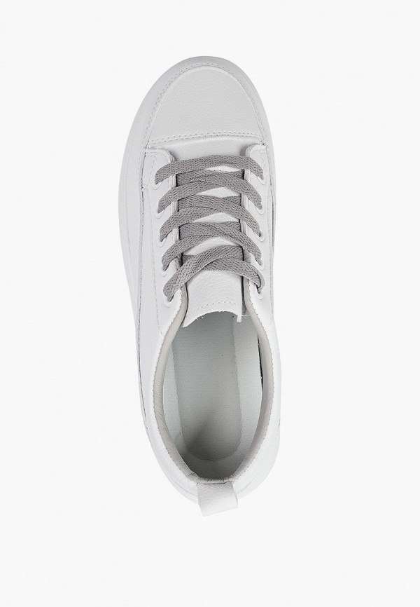 фото Кеды dino albat