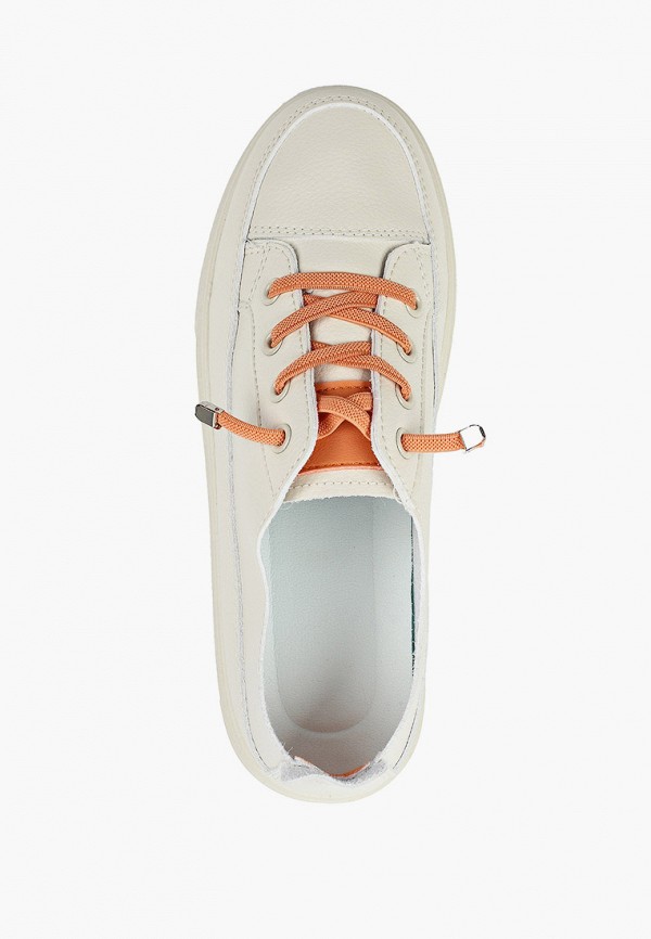 фото Кеды dino albat