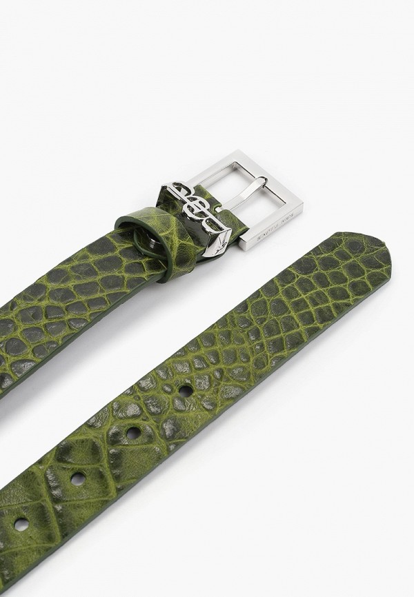 фото Ремень beautiful birds