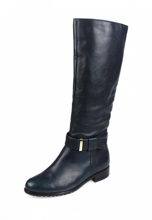 

Сапоги Blizzarini, Синий