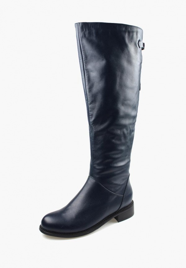 

Сапоги Blizzarini, Blizzarini MP002XW0DWBT, Синий