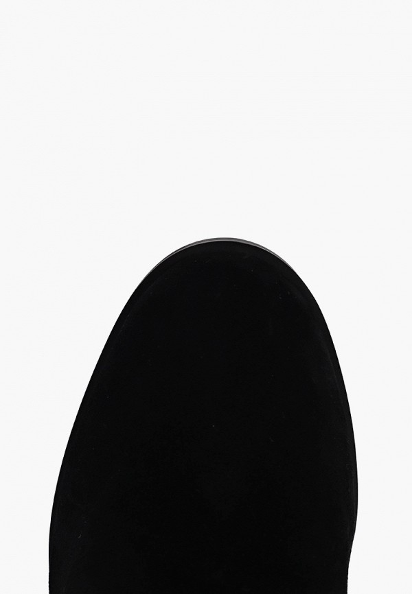 фото Сапоги francesco donni