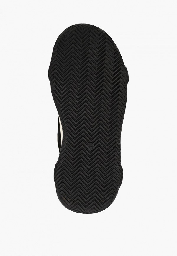 фото Кеды berkonty