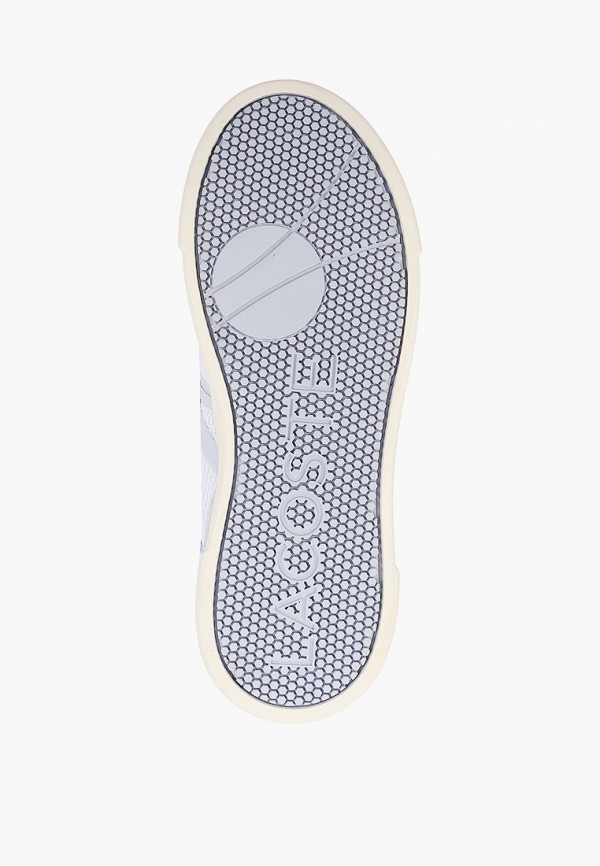 фото Кеды lacoste