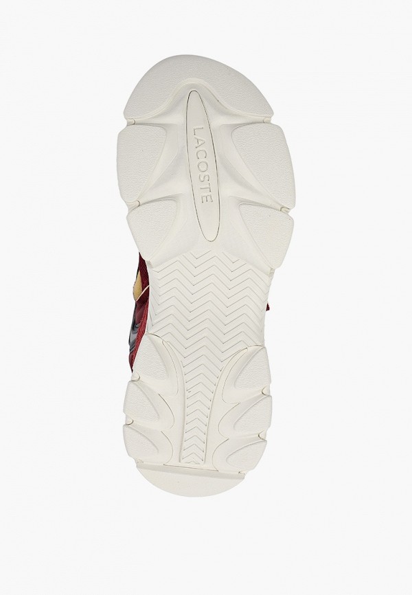 фото Кроссовки lacoste