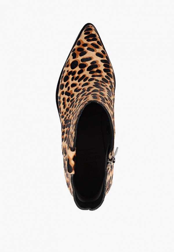 фото Ботильоны graciana