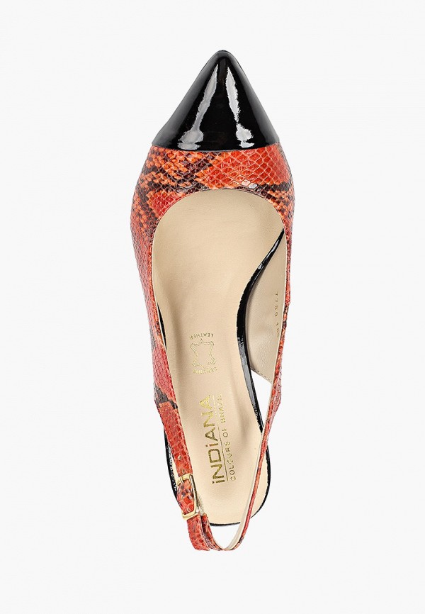 фото Туфли indiana