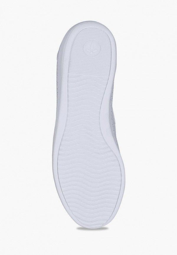 фото Балетки alessio nesca