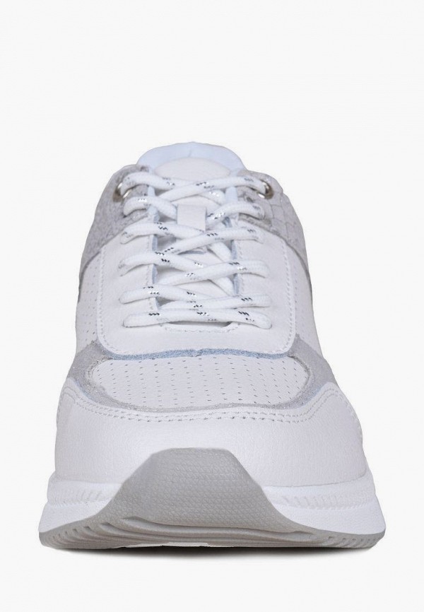 фото Кроссовки alessio nesca