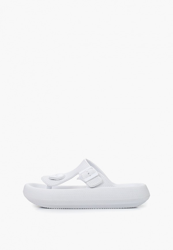 Сланцы Briggs 1819₽