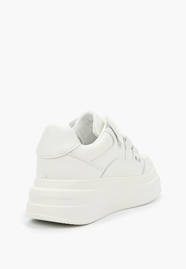 фото Кеды dino albat