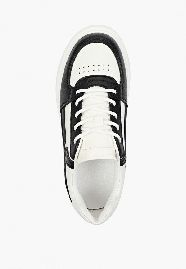 фото Кеды dino albat