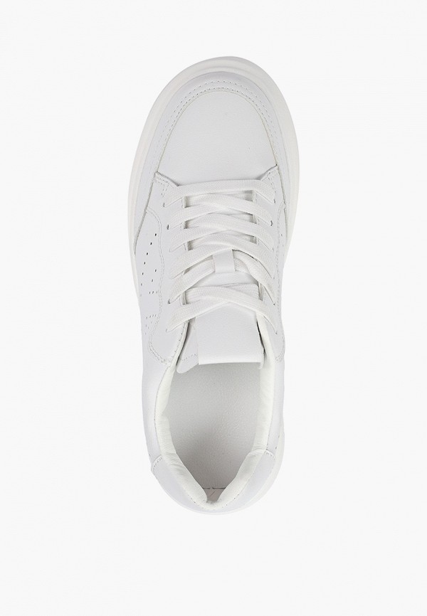 фото Кеды dino albat