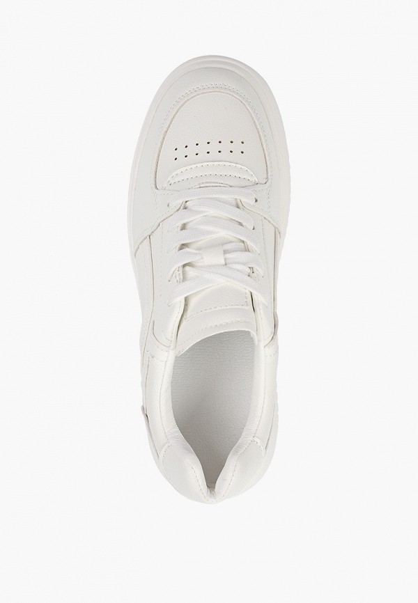 фото Кеды dino albat