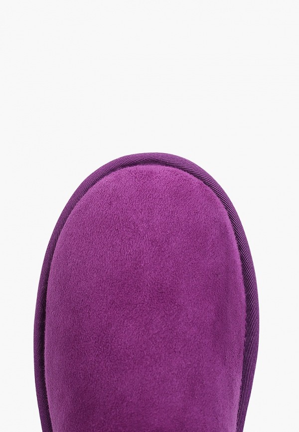 фото Полусапоги evigi