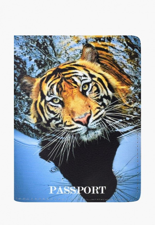 

Обложка для паспорта BB1, Голубой