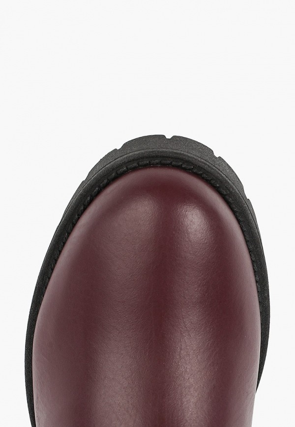 фото Сапоги argo