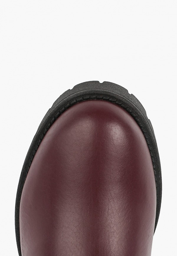 фото Сапоги argo