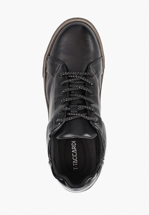 фото Кеды t.taccardi