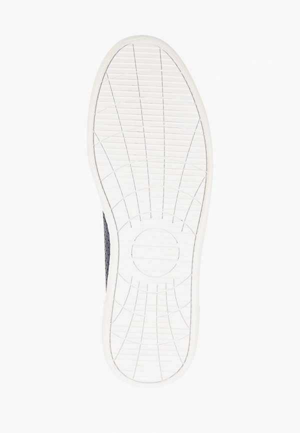 фото Балетки alessio nesca