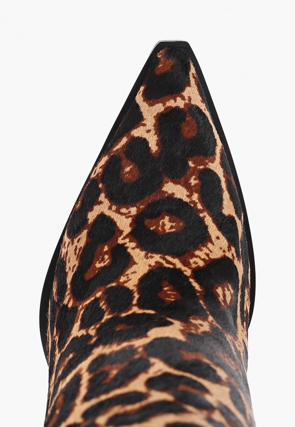 фото Ботфорты evigi